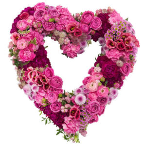 Open Heart