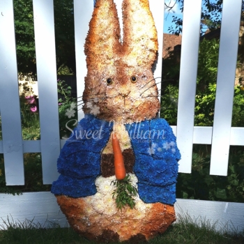 Rabbit