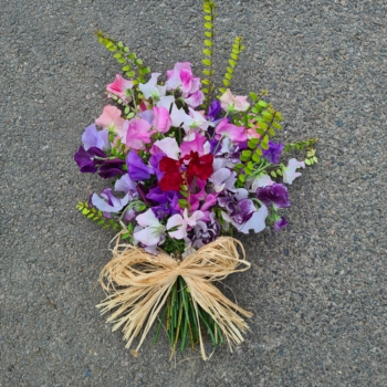 Sweet Pea Tied Sheaf